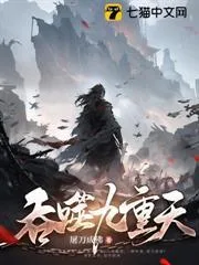 吞噬九重天封面
