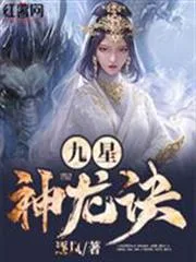 九星神龙诀封面
