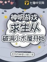 破洞小木屋求生指南封面